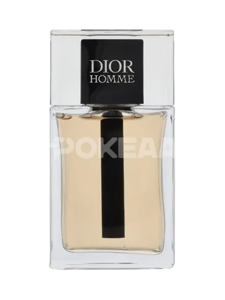 Dior Homme Edt Spray 100ml 2