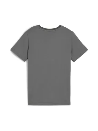 T-shirt Gris Garçon Puma 676869 2