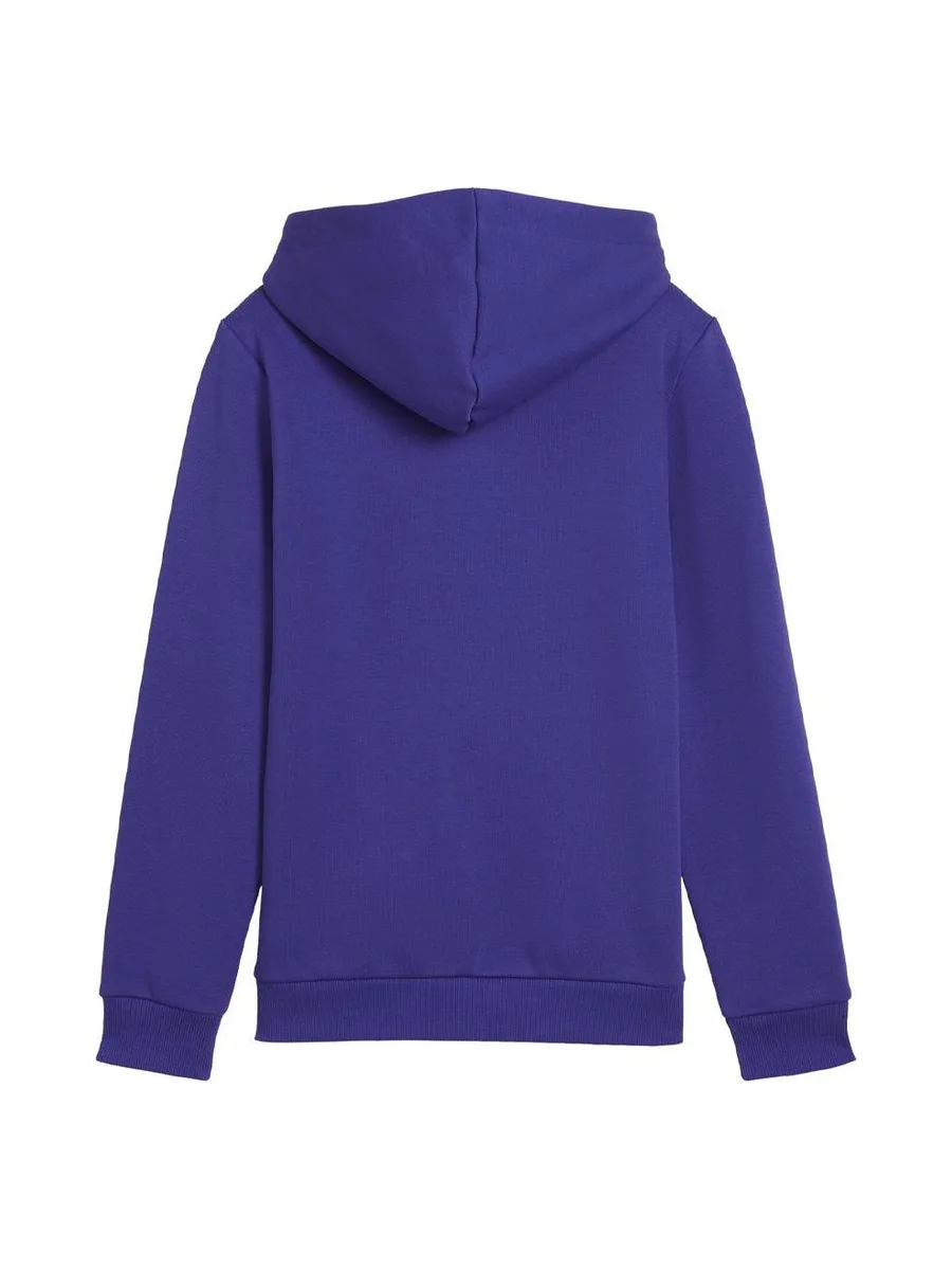 Sweat Bleu électrique Garçon Puma 5869870 3