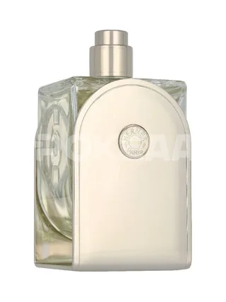 Hermes Voyage D'Hermes Edt Spray 100ml - Refillable 2