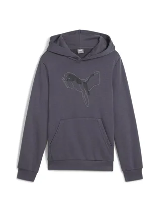 Sweat Gris Garçon Puma Cat Ho 1