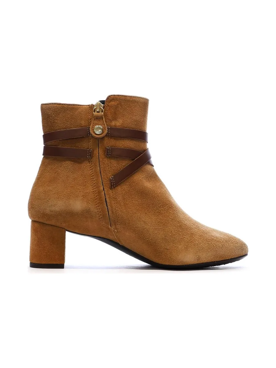 Bottines Camel Femme Geox Pheby 50 3