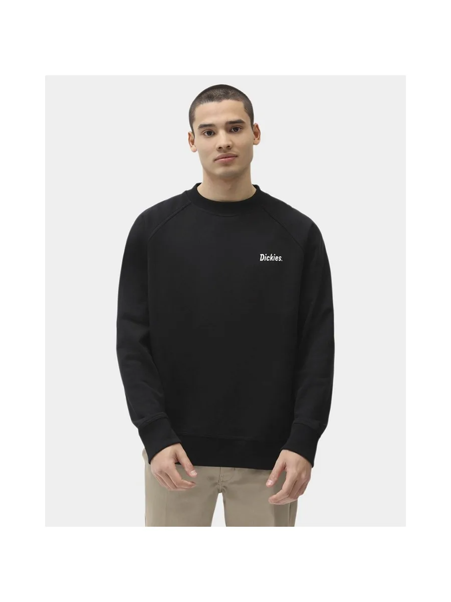 Sweat-shirt DICKIES BETTLES 2