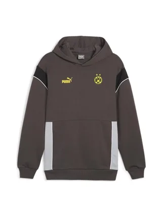 Dortmund Sweat Gris Homme Puma 2024 1