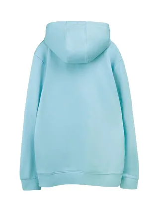 Sweat à Capuche Turquoise Homme Teddy Smith Nark 2