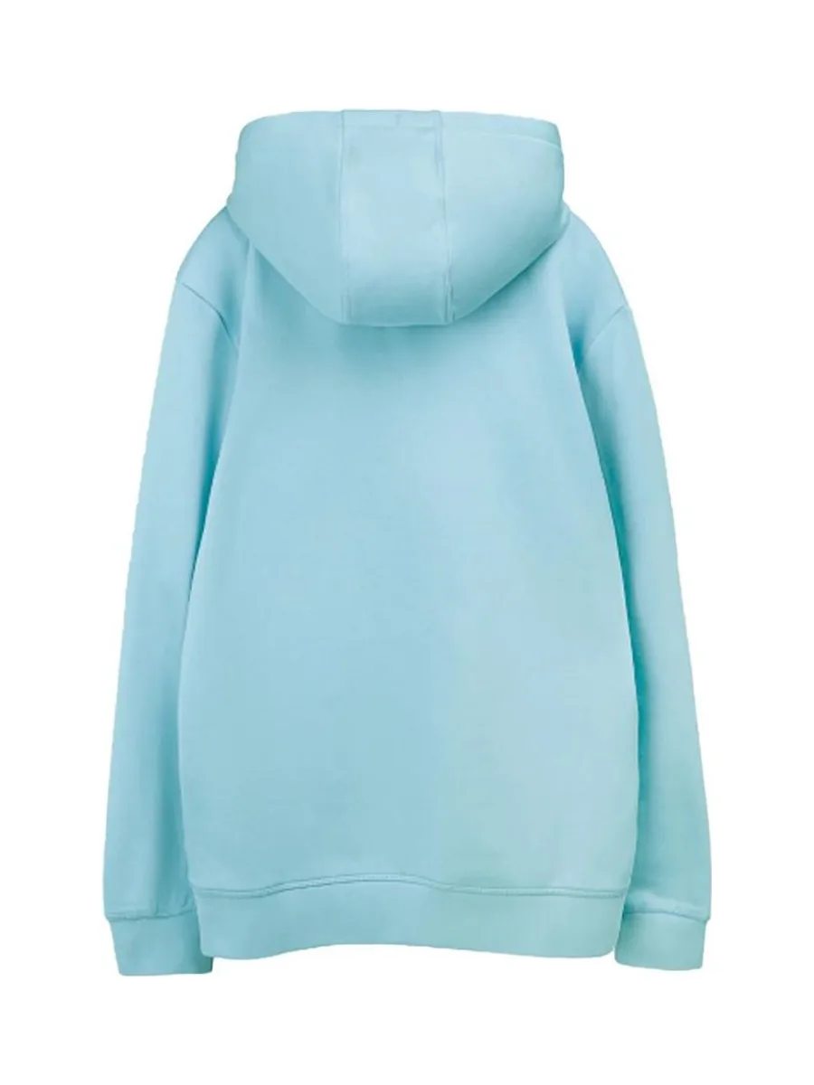 Sweat à Capuche Turquoise Homme Teddy Smith Nark 3