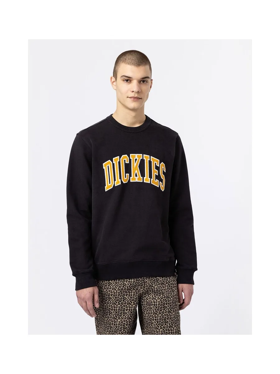 Sweat-shirt DICKIES DK0A4XAB 7
