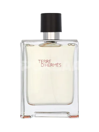 Hermes Terre D'Hermes Edt Spray 100ml 2