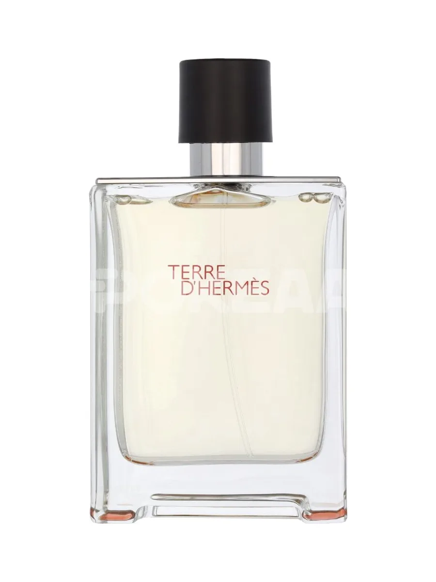 Hermes Terre D'Hermes Edt Spray 100ml 2
