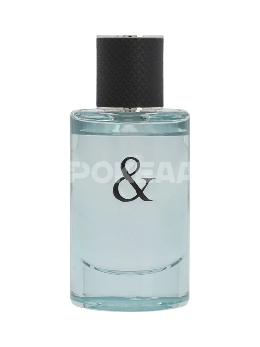 Tiffany & Co & Love For Him Edt Spray 50ml 2