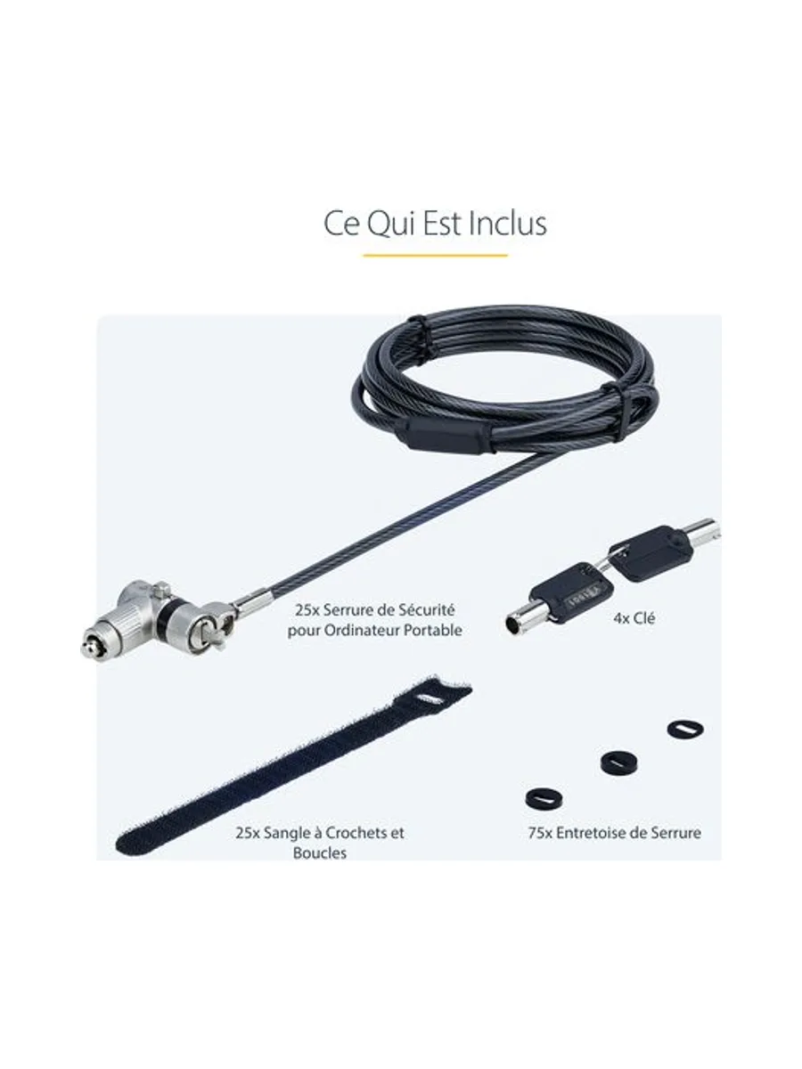 25-Pack Laptop Lock 6.6ft Cable 19