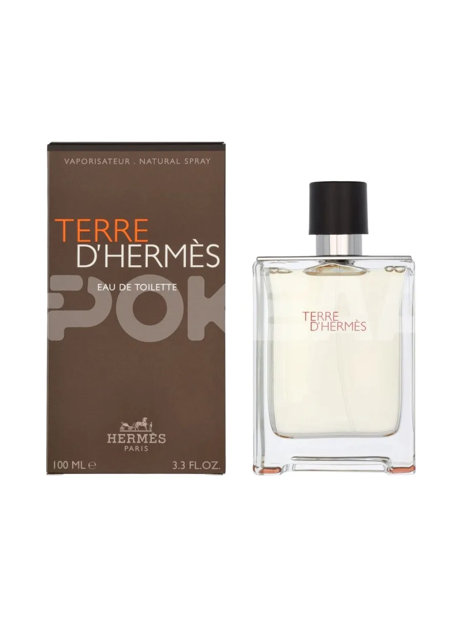 Hermes Terre D'Hermes Edt Spray 100ml 1