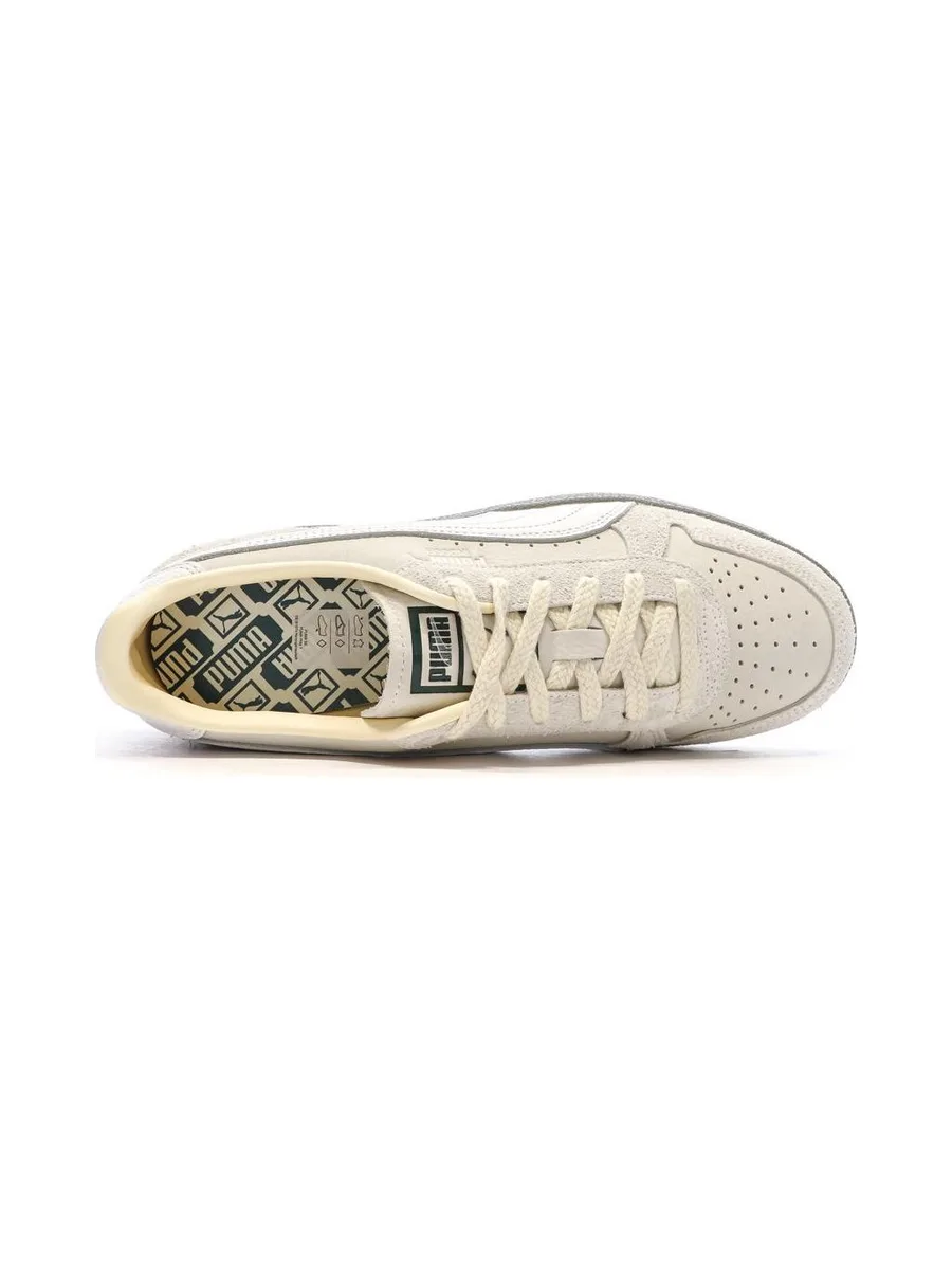 Baskets Ecru/Blanche Homme Puma Indoor Prm 5