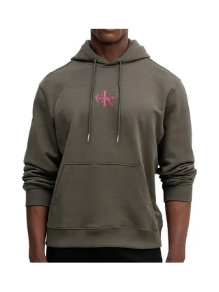 Sweat à Capuche Gris Homme Calvin Klein Jeans 350terry Micro 1
