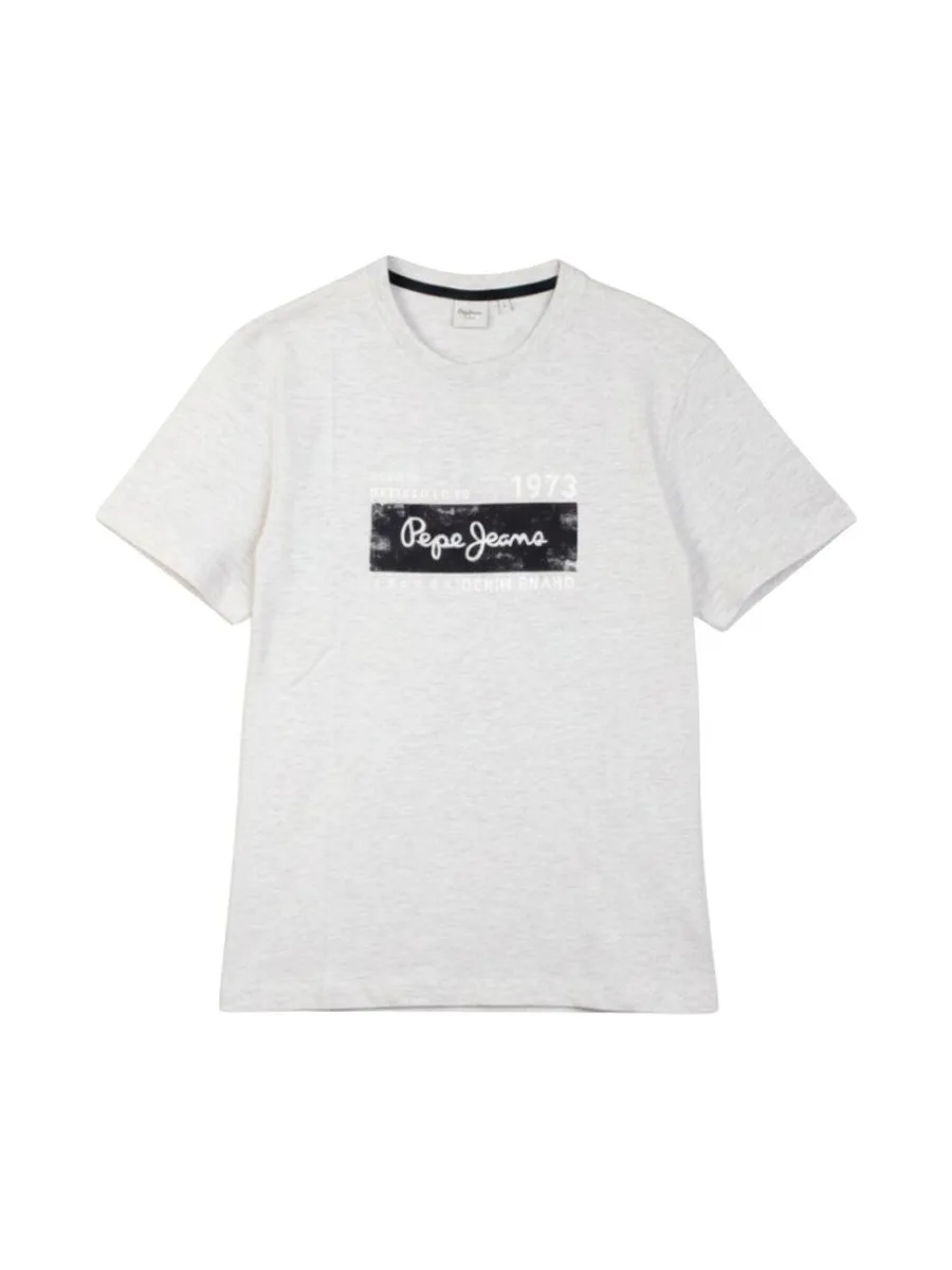 T-Shirt Gris Homme Pepe jeans Pjl M 2