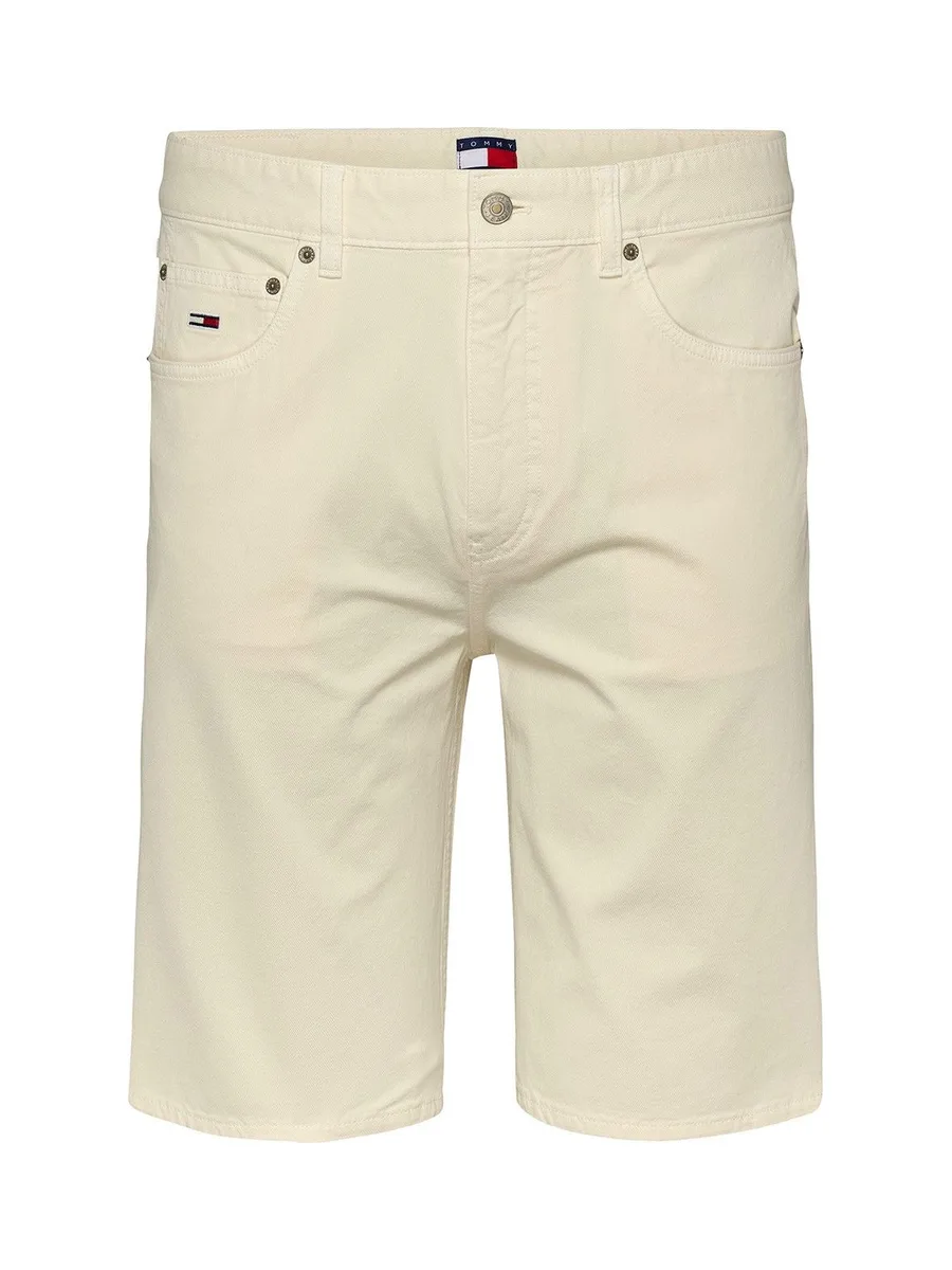 TOMMY HILFIGER DM0DM21953 - Short 2