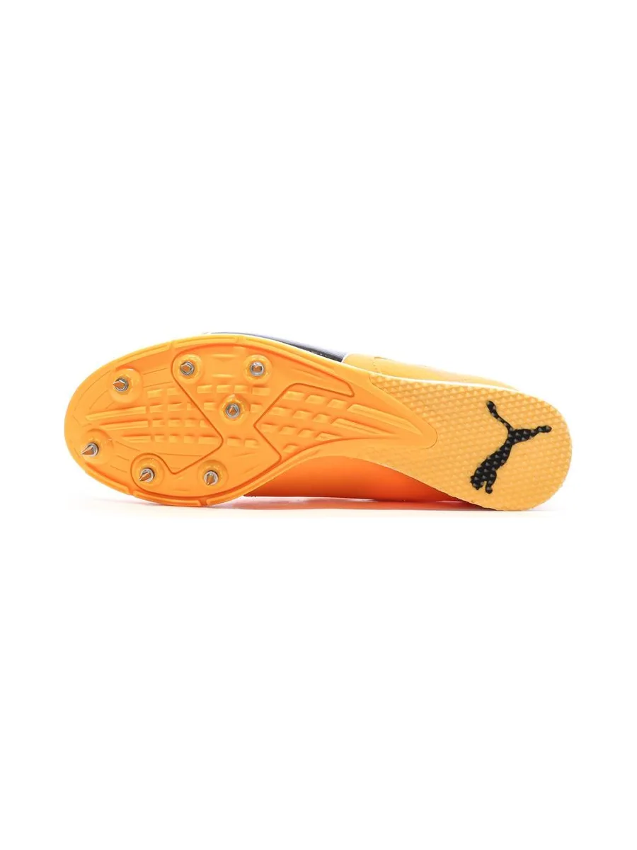 Chaussures d'athlétisme Orange Homme Puma Evospeed 5