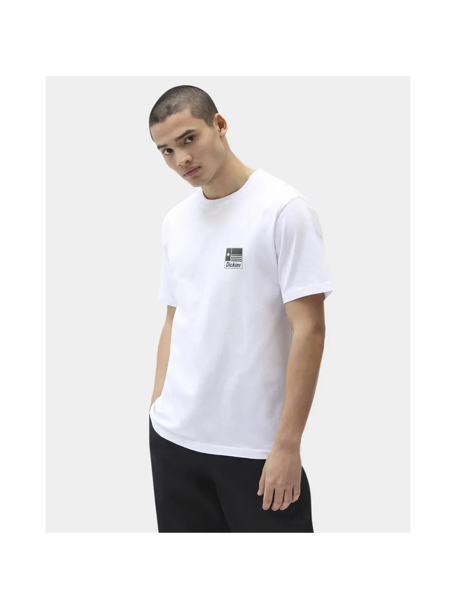 T-shirt DICKIES Taylor 3