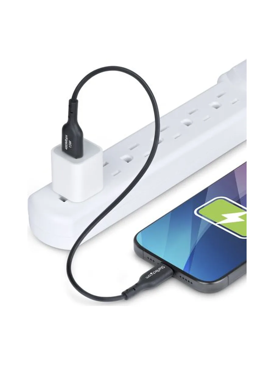 1ft USB-A to USB-C Charging Cable 7