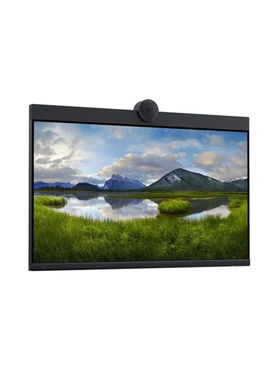 DELL P2424HEB 10