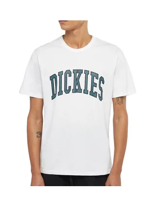T-shirt Blanc Homme Dickies Aitkin DK0A4X9FJ971 1