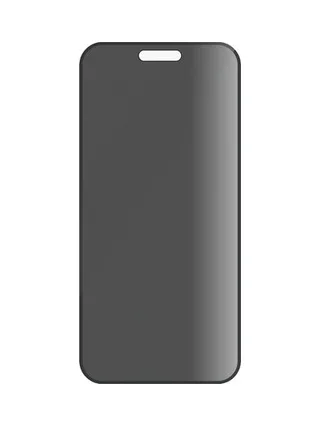 PG Privacy Apple iPhone 16/15 inst frame 4