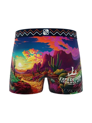 Boxer Bleu/Violet Garçon Freegun Désert 2