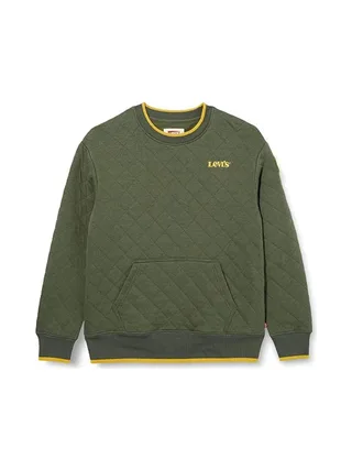 Sweat Kaki Garçon Levi's 8ED538 1