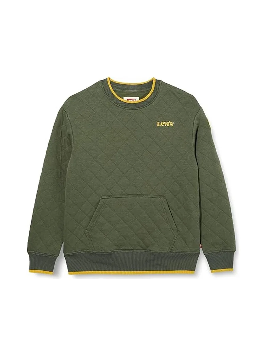 Sweat Kaki Garçon Levi's 8ED538 2