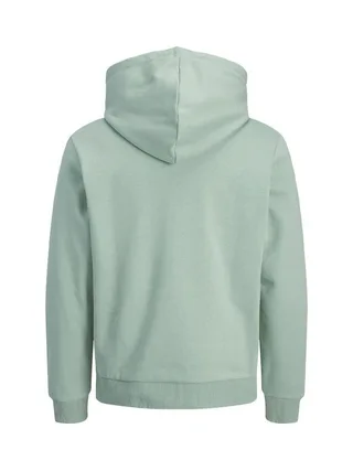 Sweat Vert Homme Jack & Jones Jordean 2