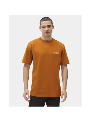 T-shirt DICKIES BETTLES 1