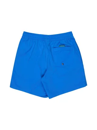 Maillot de Bain Bleu Homme Quiksilver Solid 15 EQYJV04120 2