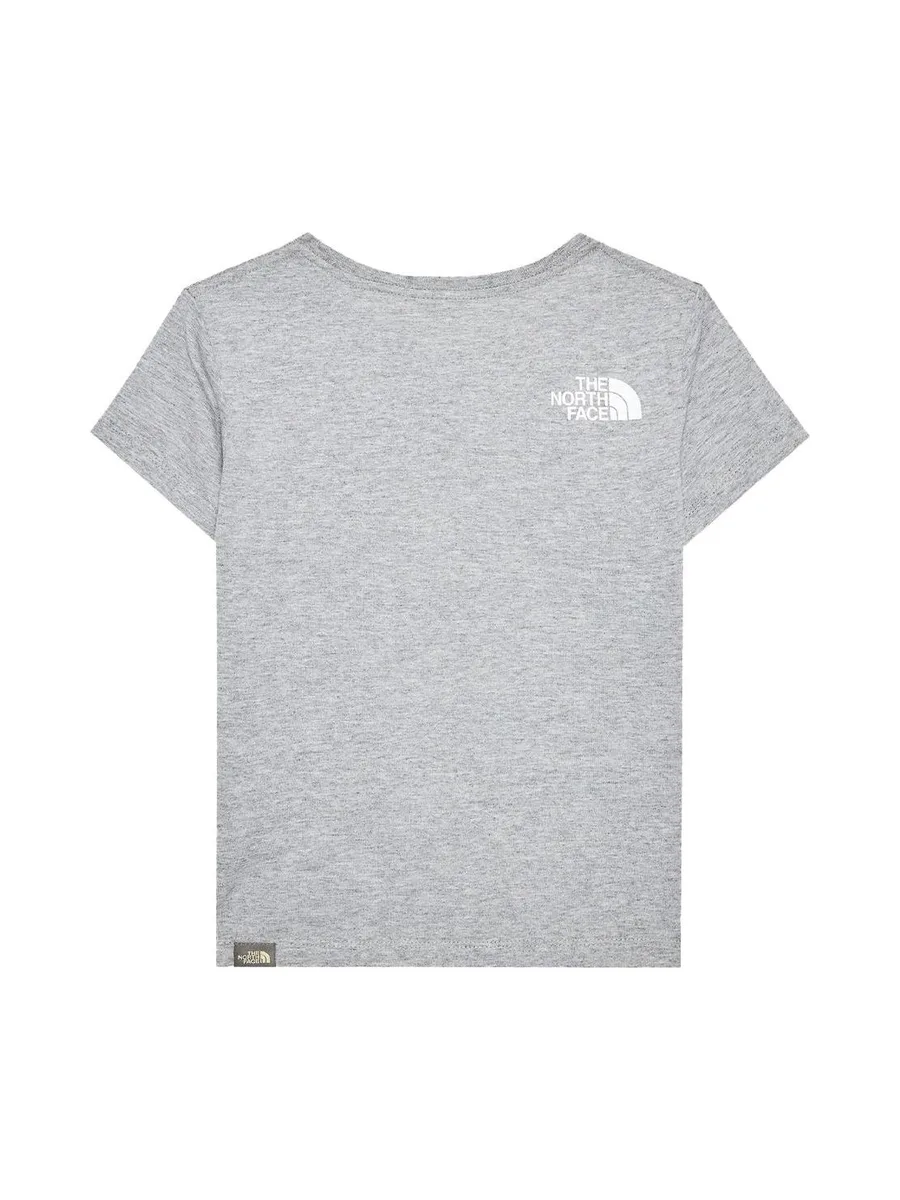 T-shirt Gris Garçon The North Face Graphic 1 3