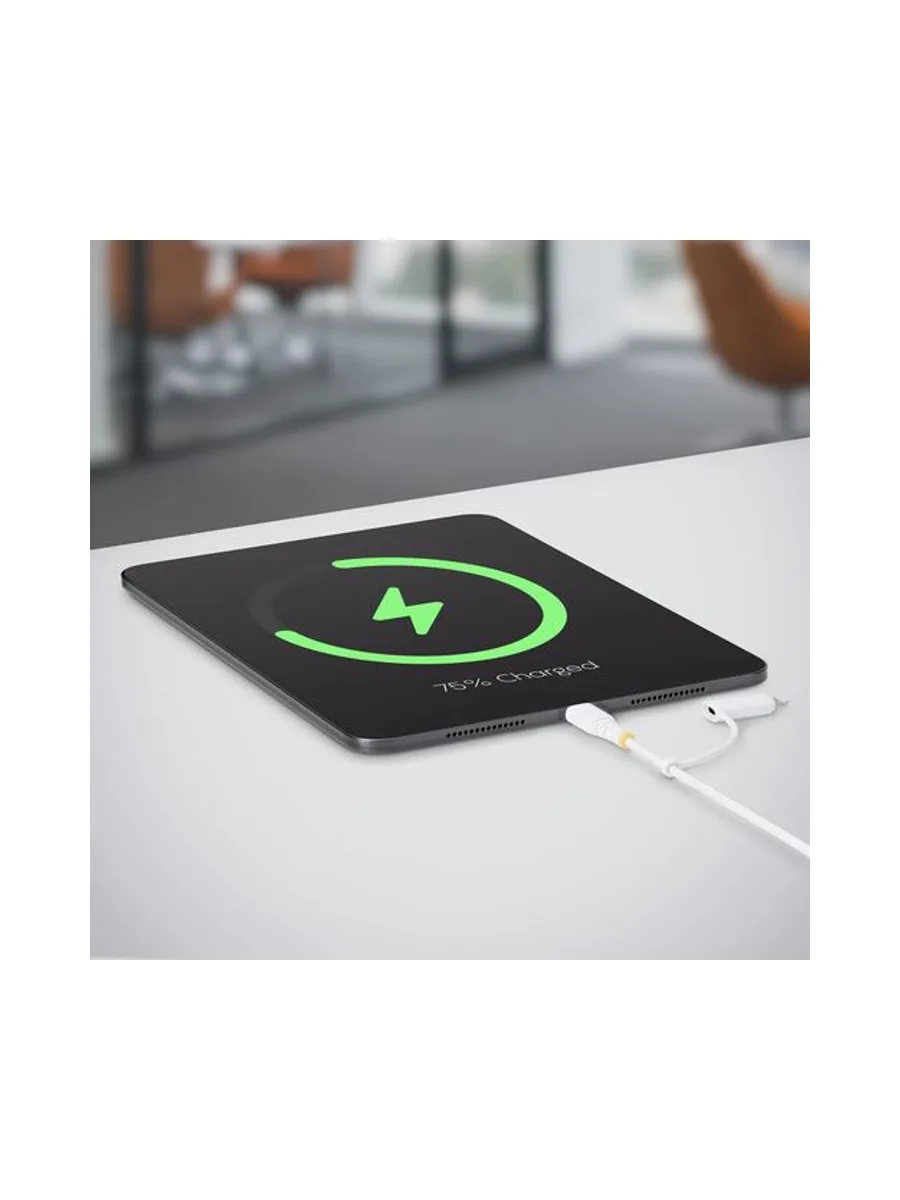 1m 3.3ft USB-C Cable with Lightning 4