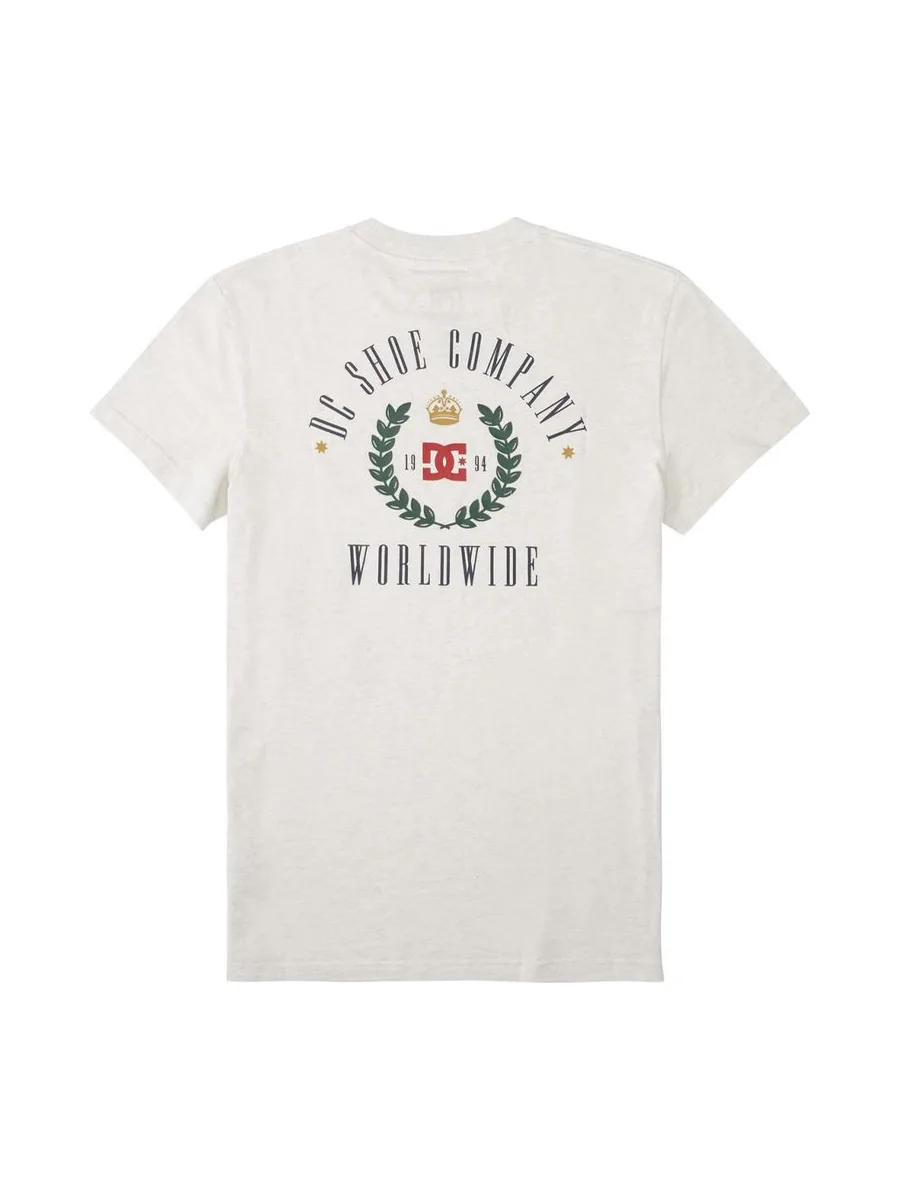 T-Shirt Gris Homme Dc shoes Hills 3