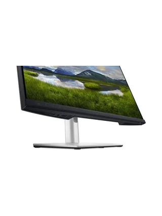 DELL P2424HEB 19