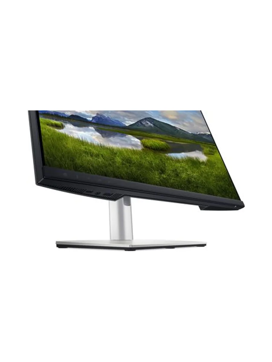 DELL P2424HEB 19