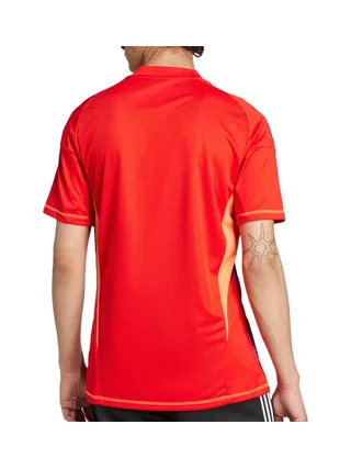Juventus Maillot de Gardien Rouge Homme Adidas 24/25 2