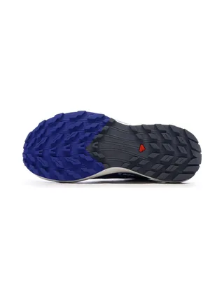 Chaussures de Trail Gris/Bleu Homme Salomon Sense Ride 5 5
