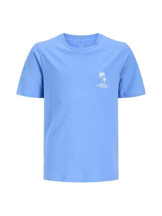 T-Shirt Bleu Garçon Jack & Jones Jorafa 1