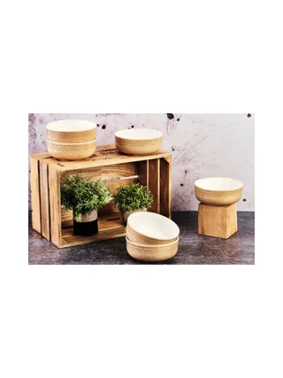 Bol COSMOS Ø15,5cm - 6 pièces - Crème 8