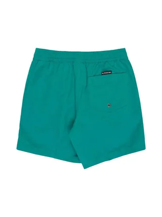 Short de bain Vert Garçon Quiksilver Everyday 2