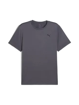 T-Shirt Gris Homme Puma Essentials Sol 1
