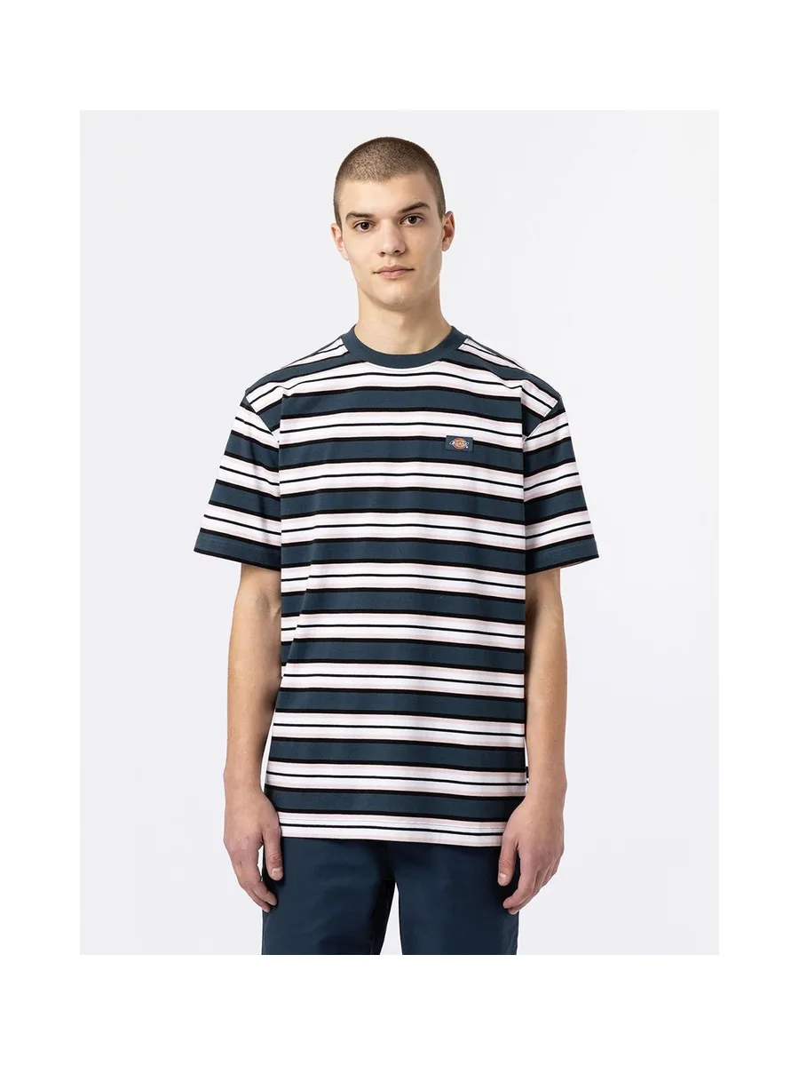 T-shirt DICKIES DK0A4XPC 3