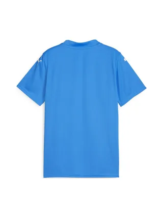 Maillot de football Bleu Turquoise Garçon Puma Teamglory Jersey Jr 2