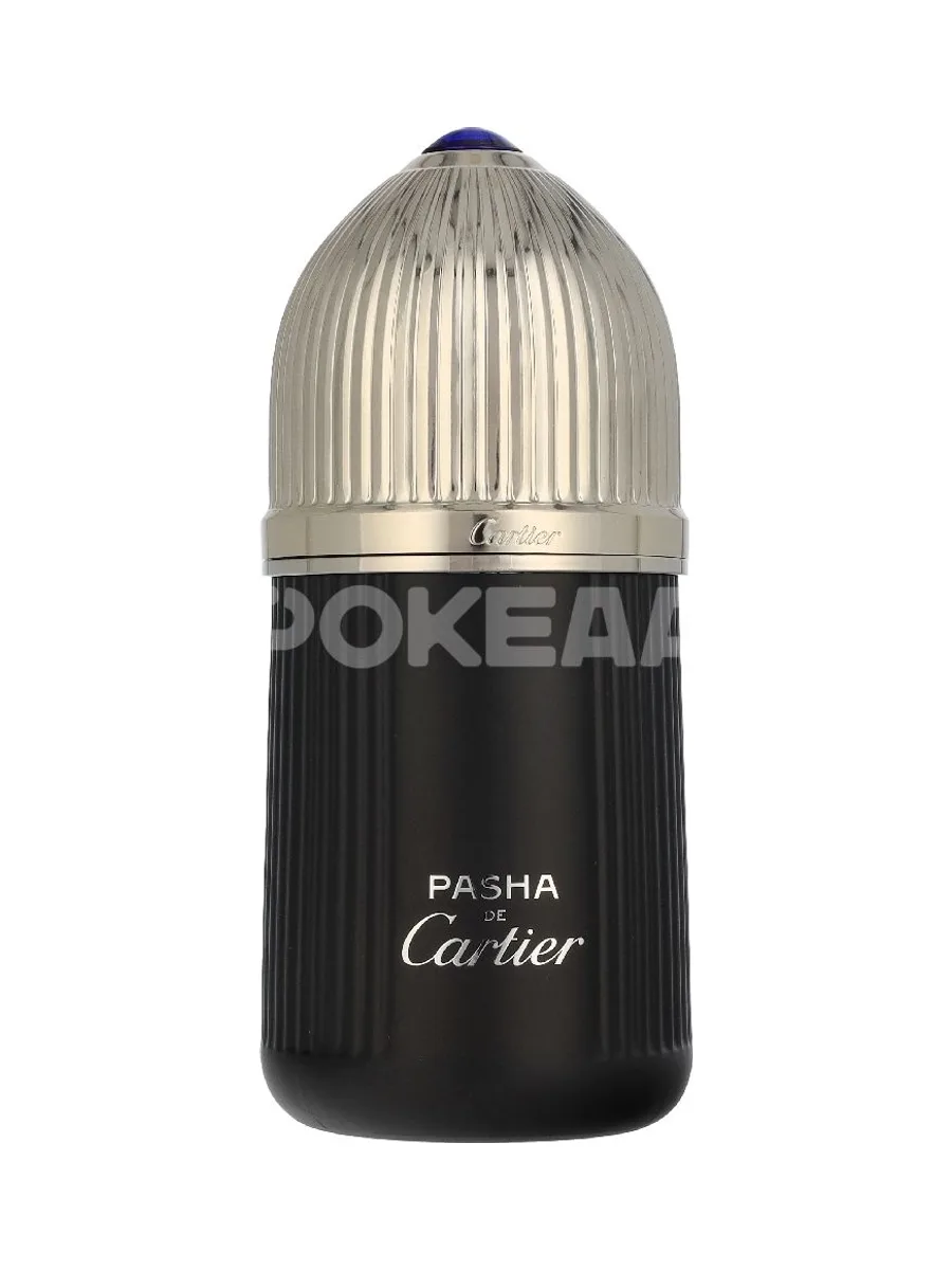 Cartier Pasha Edition Noire Edt Spray 100ml 2