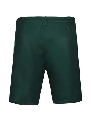 Short de Sport Vert Homme Le Coq Sportif Tennis Pro N°2 2