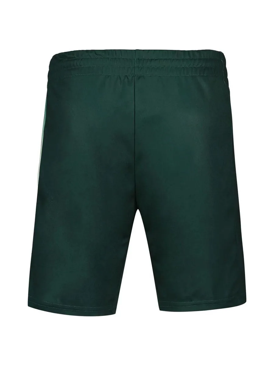 Short de Sport Vert Homme Le Coq Sportif Tennis Pro N°2 3