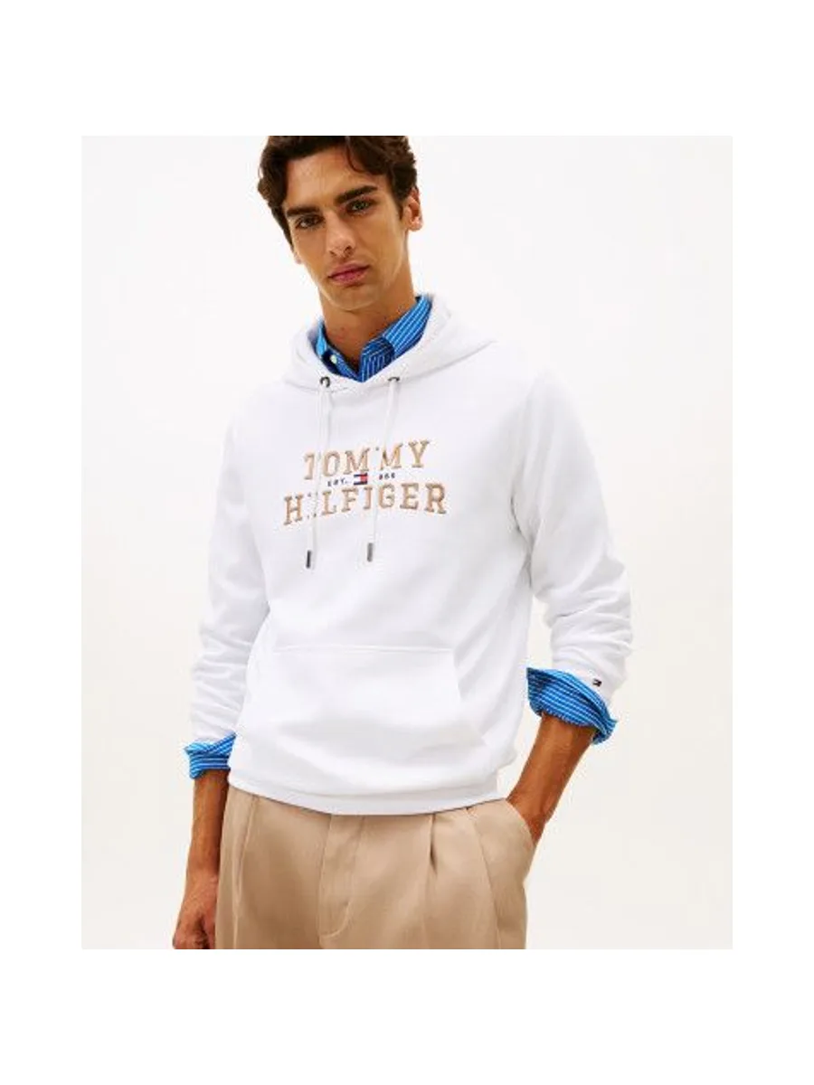Sweat-shirt TOMMY HILFIGER MW0MW42528 6