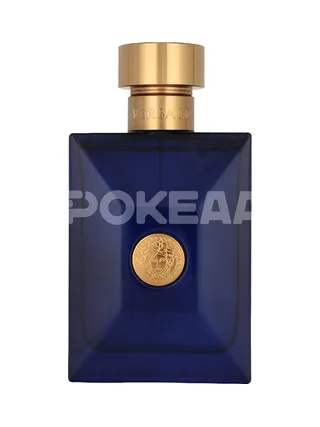 Versace Dylan Blue Pour Homme Edt Spray 100ml 2